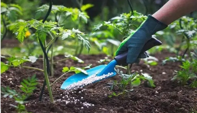 ZERO WASTE TRANSFORMATION OF PLASTER OF PARIS WASTE AND POTASSIUM SOLUBILISATION FOR SUSTAINABLE AGRICULTURE.
